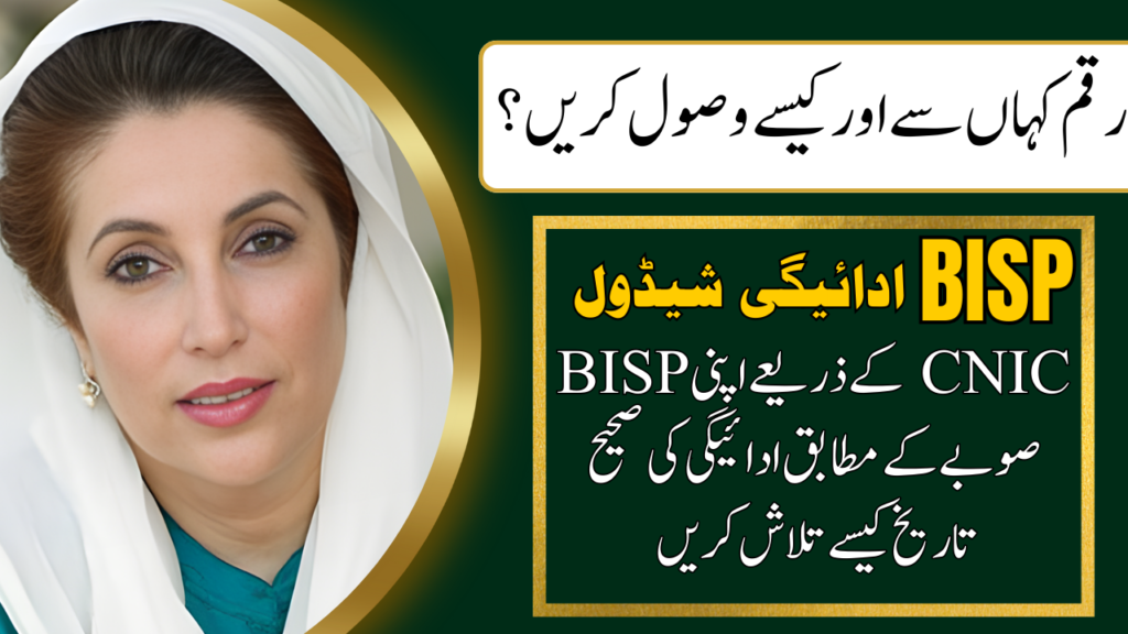 BISP Province-Wise Payment