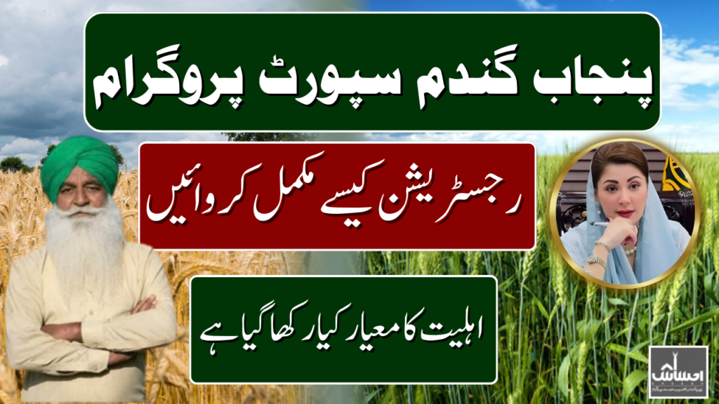 Punjab Wheat Support Program