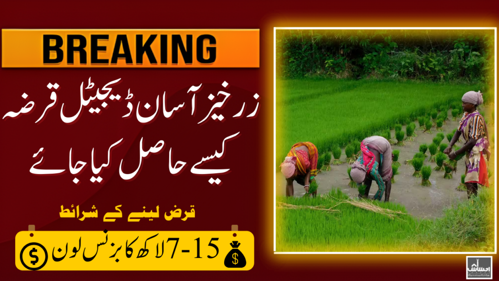 ZA Digital Qarza Online Business Loan